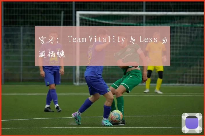 官方： Team Vitality 与 Less 分道扬镳