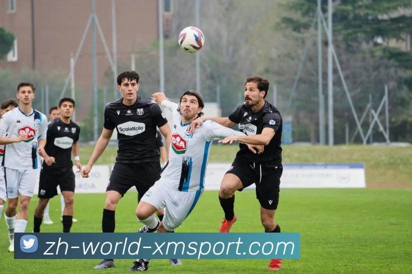 熊猫体育平台生态图