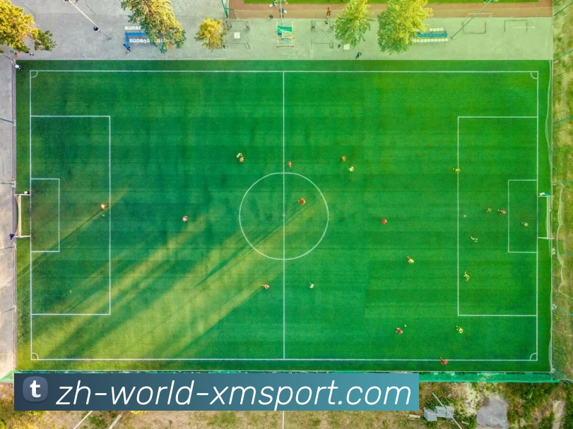 数据防护可视化